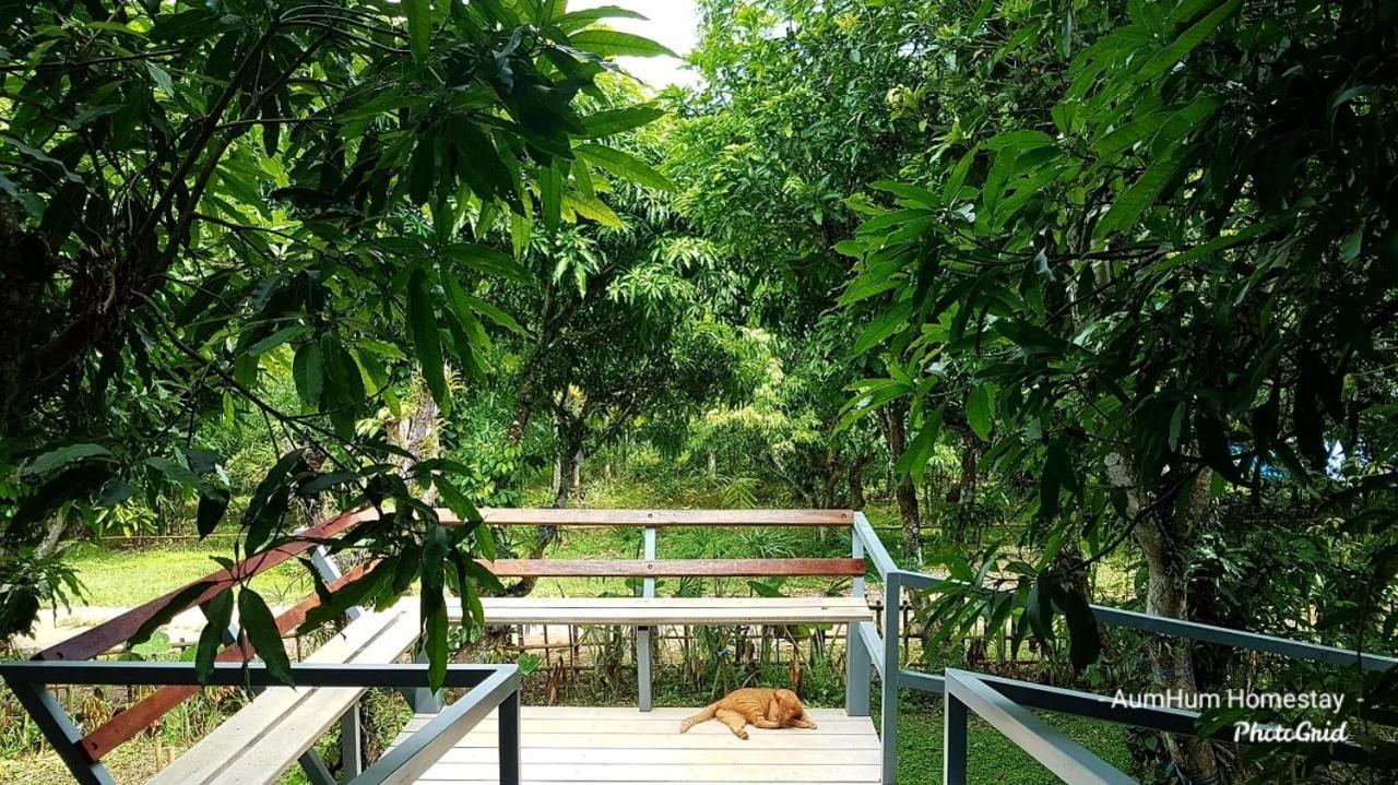 Aum Hum Homestay Fang Exteriér fotografie