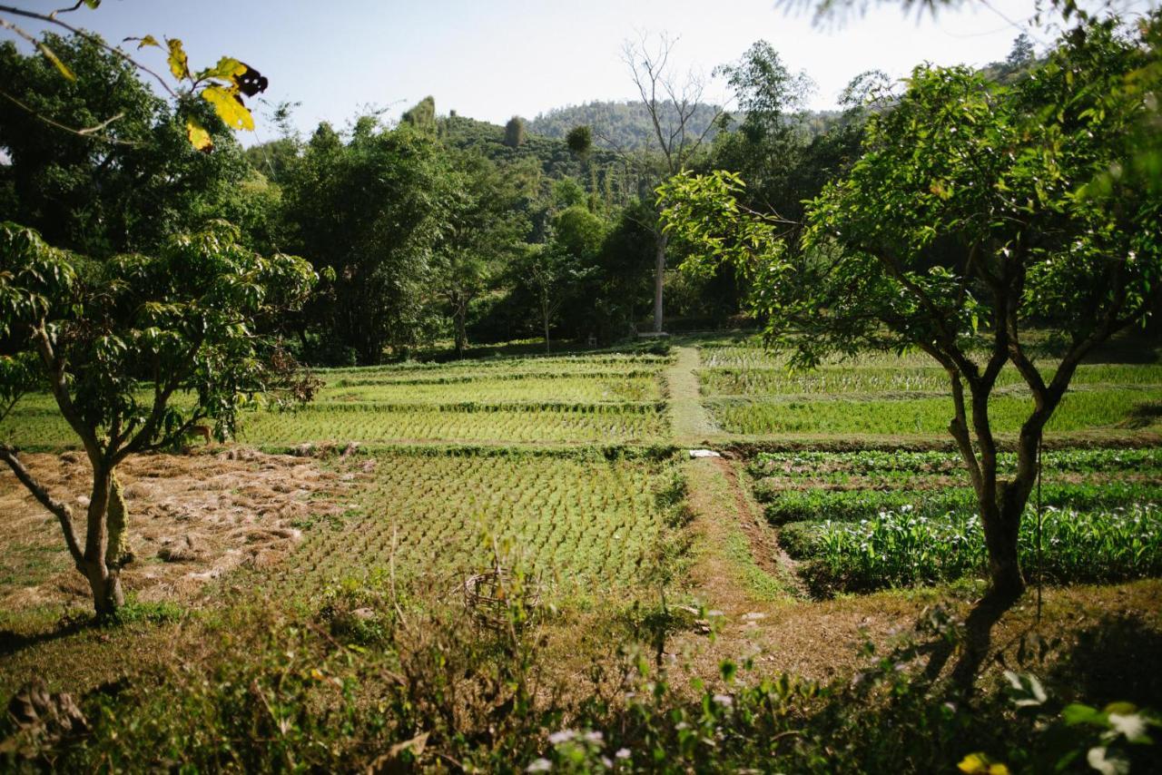 Aum Hum Homestay Fang Exteriér fotografie