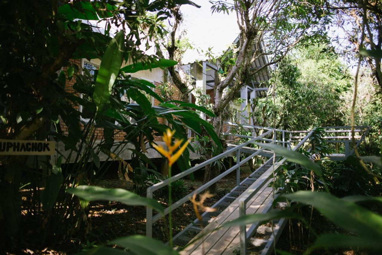 Aum Hum Homestay Fang Exteriér fotografie
